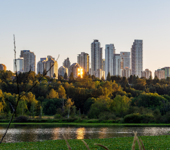 picture of Vancouver skyline as seen from a park in Burnaby
