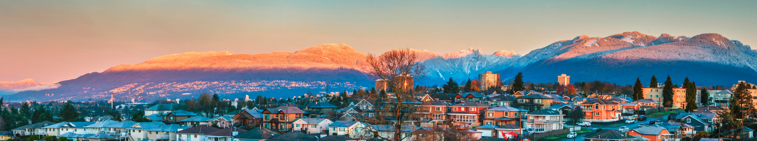 Burnaby Real Estate Experts